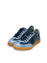Iconic Blue