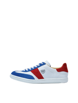 Iconic Tricolor