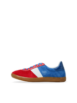 Spider Tricolor