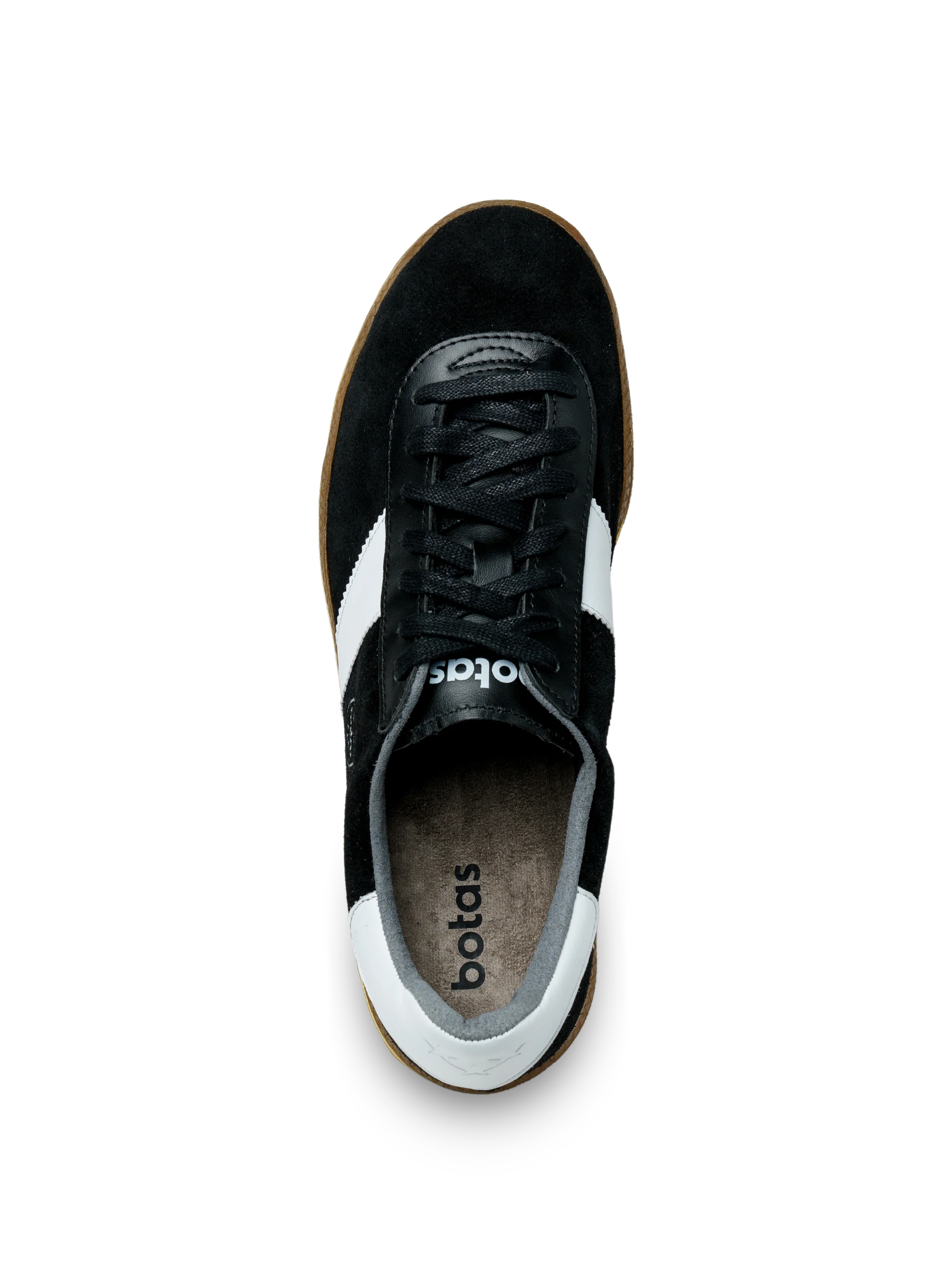 Spider Black