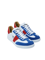 Iconic Tricolor