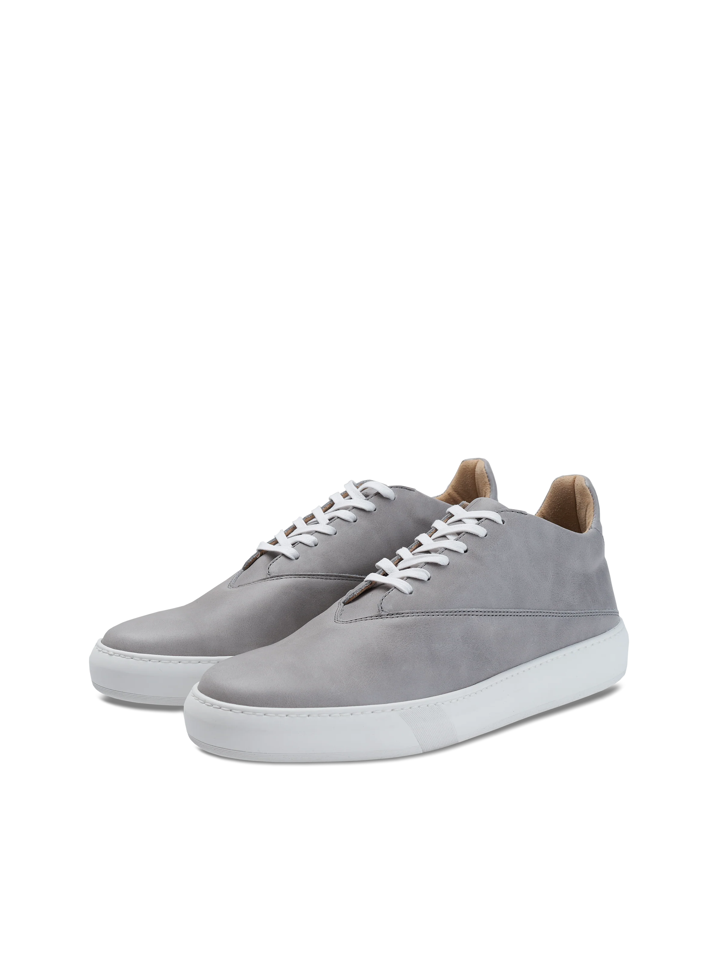 Veny Grey