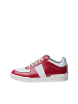 Epic Red