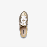 Iconic Legend 75' Limited Edition
